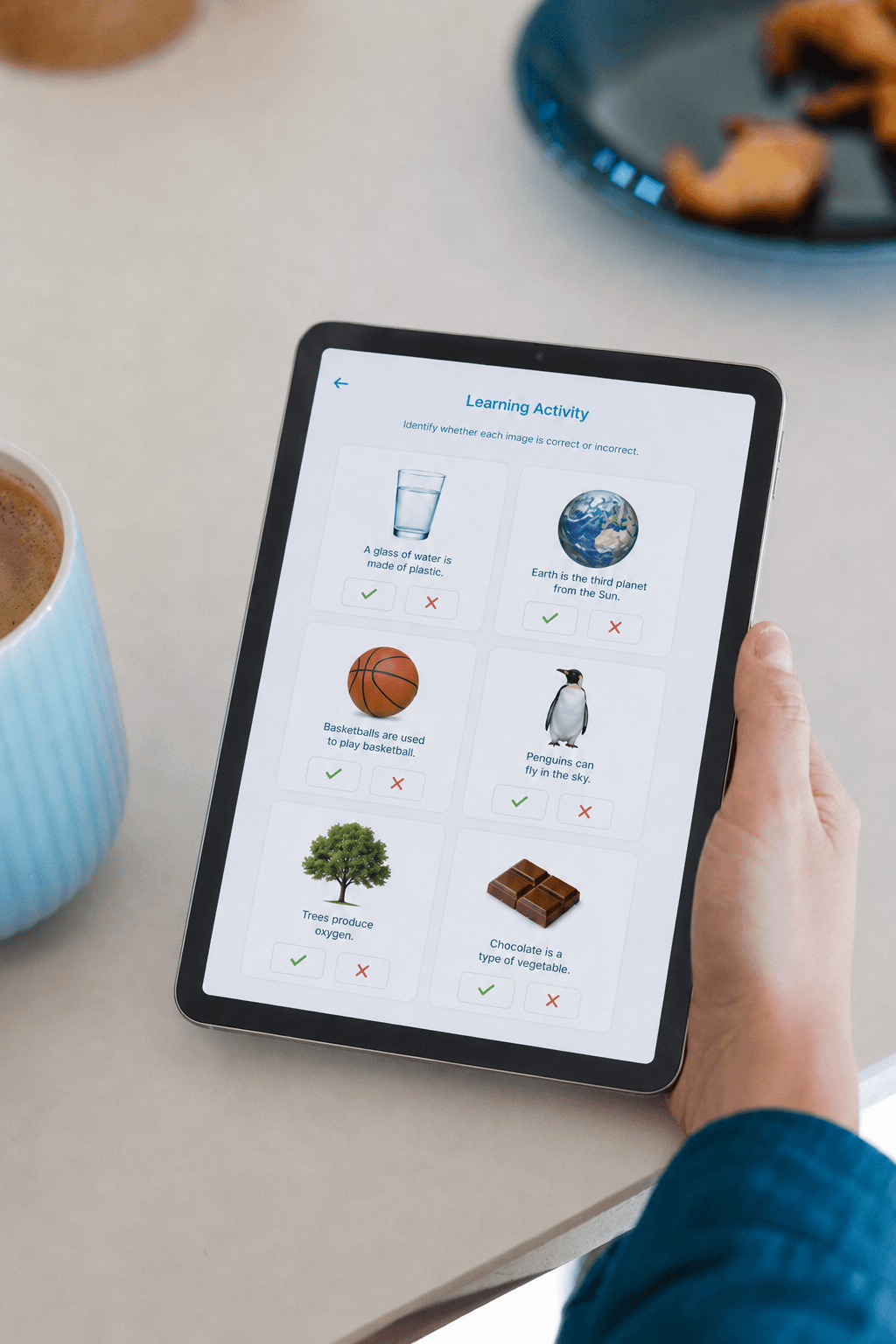 Workbook quiz interface